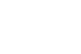 CII Triple Lock Logo White